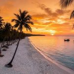 Golden Hours in Vietnam: Phú Quốc to Halong