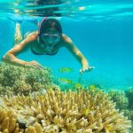 Coral Coves to Golden Bridge: A Phú Quốc and Da Nang Escape