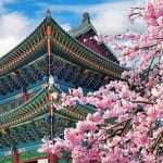 Japan Packages – Seoul, Busan and an Adventure in Japan
