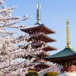 Japan Packages – The Full Country Experience